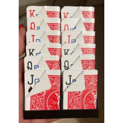 Flexi Clasificador de 12 cartas para bolsillo 2