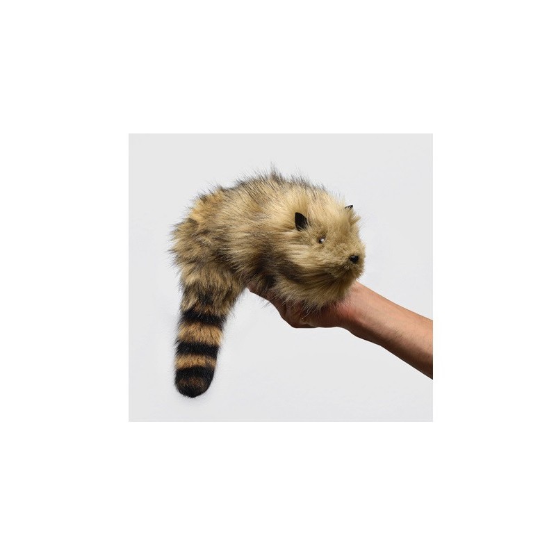 Rakin Deluxe Raccoon por Raúl Quintana (Nueva versión 2025 Mágnetico V2.0)