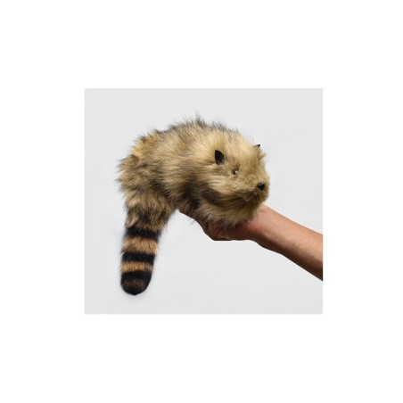 Rakin Deluxe Raccoon por Raúl Quintana (Nueva versión 2025 Mágnetico V2.0) Rakin Deluxe Raccoon por Raúl Quintana (Nueva versión 2025 Mágnetico V2.0)