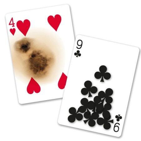 Baraja Bicycle Super Gaff Baraja Bicycle Super Gaff