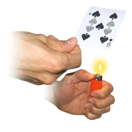 Cardician's Dream Cardician's Dream