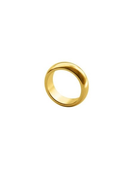 Anillo Magnético Dorado Grande (22 mm)