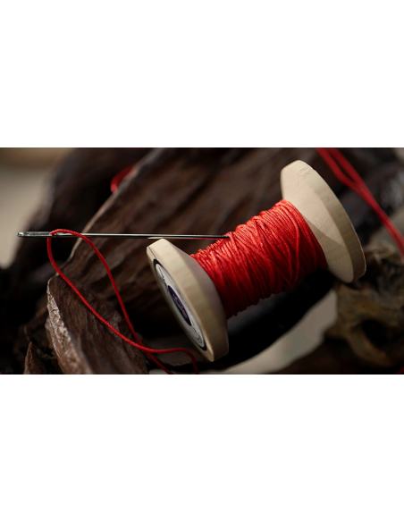 Needle Thru Coin (Aguja a través de la moneda) Nathan Kranzo y TCC Magic