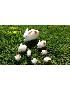Los Conejitos – Conejos 3D para Magia Infantil