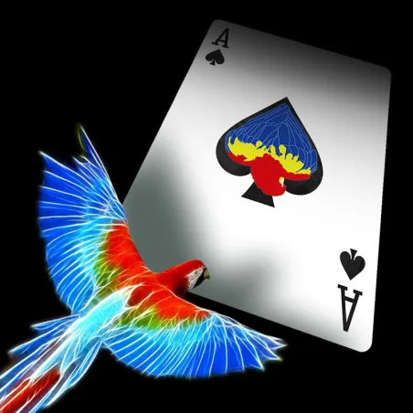 Baraja Infinity por D3PSY Baraja Infinity por D3PSY